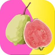菠萝菠萝蜜免费视频高清观看ios版