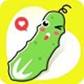 欲女直播app下载大全