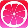 色虎app手机版免费下载_logo