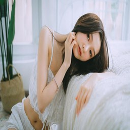 老司机入口：深度解析与应用指南，让你轻松驾驭互联网世界