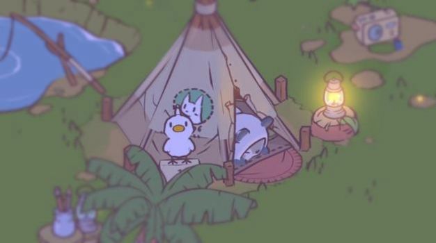 CATS SOUP2