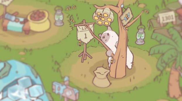 CATS SOUP0