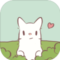 CATS SOUP_logo